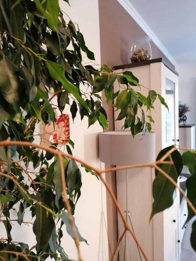 Apartman Luna シベニク エクステリア 写真