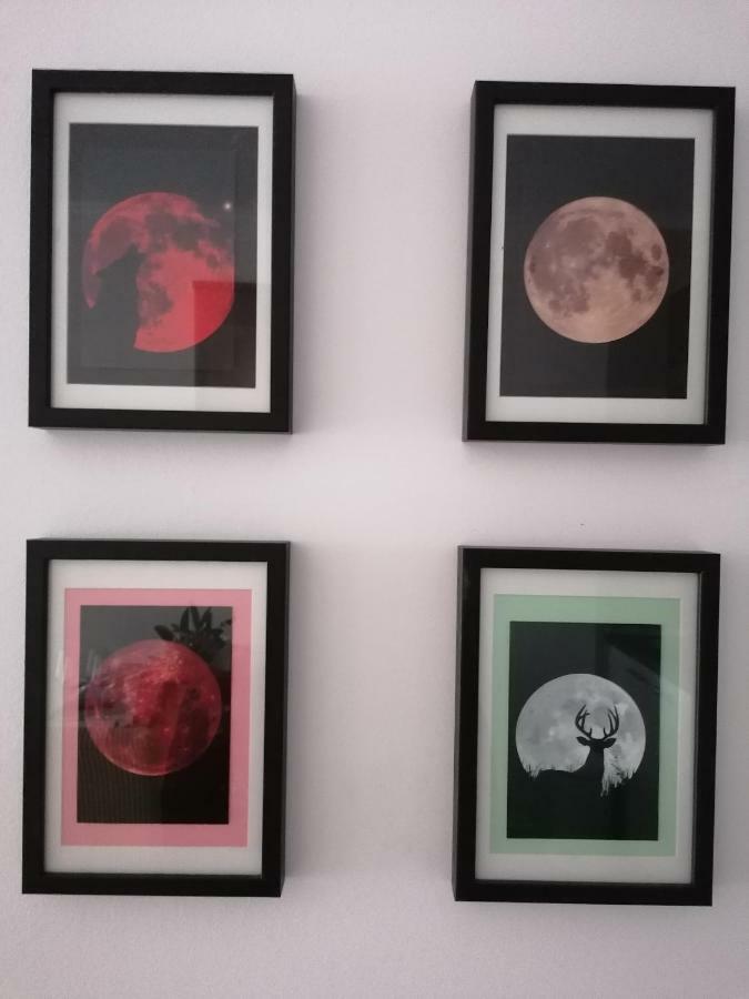 Apartman Luna シベニク エクステリア 写真