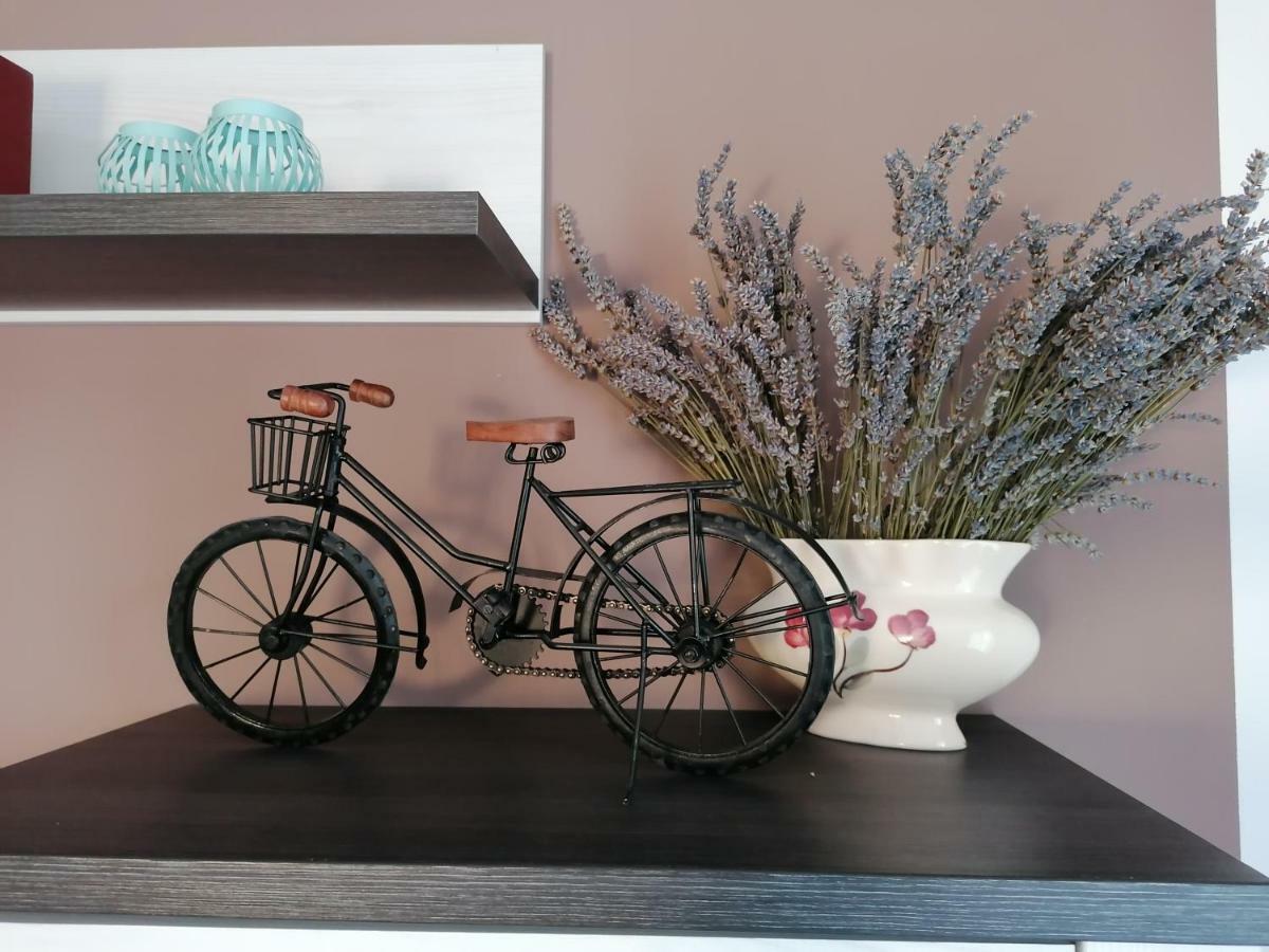 Apartman Luna シベニク エクステリア 写真